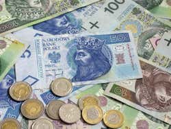 Zloty polacco